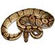 Enchi