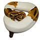 Enchi Pied