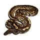 Mojave